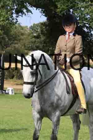 SHC-1918