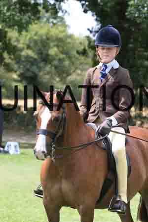SHC-3090