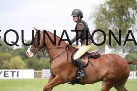 SHC-3431