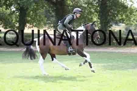 SHC-4400