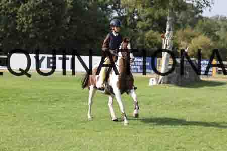 SHC-5218