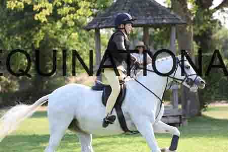 SHC-5353