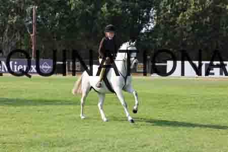 SHC-5367