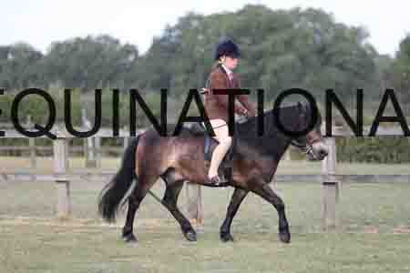 MAB-1239