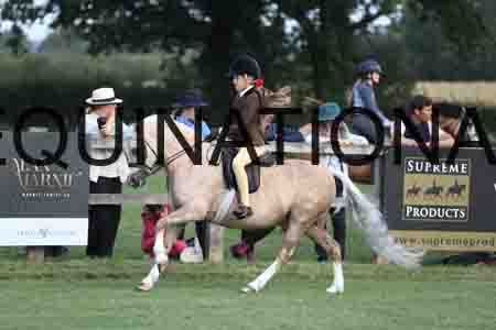 MAB-1349