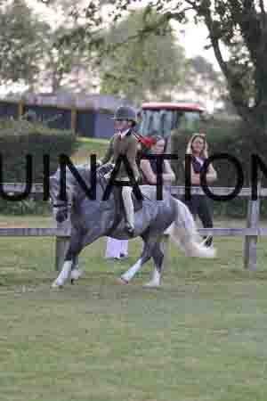 MAB-1528