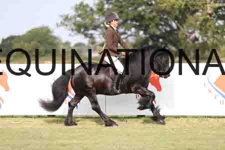 MAB-2367