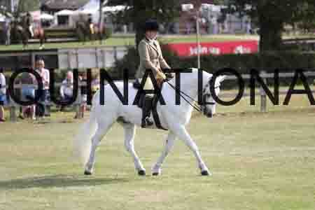 MAB-2374