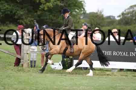 MAB-3321