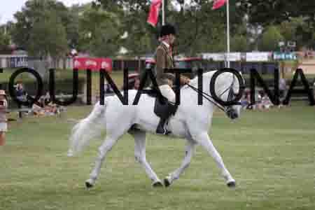 MAB-3455