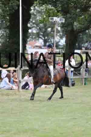 MAB-3810