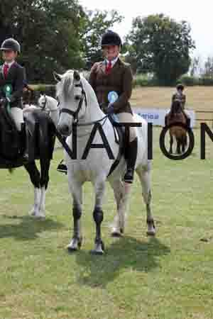 MAB-4237