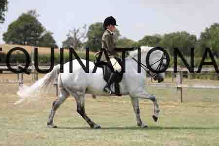 MAB-4428