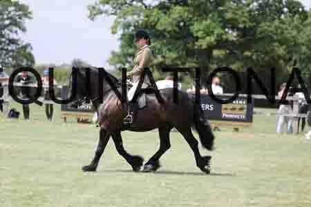 MAB-4673
