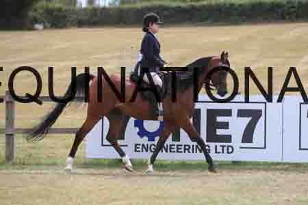 MAB-5121