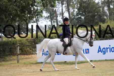 MAB-5222