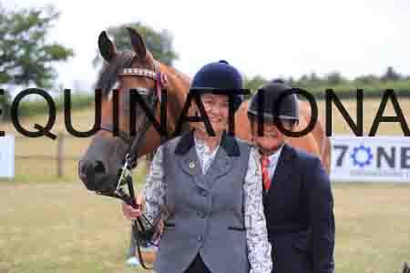 MAB-5413